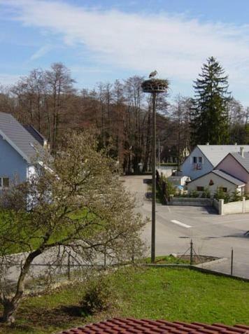 Hotel H�tel Au Vieux Tilleul