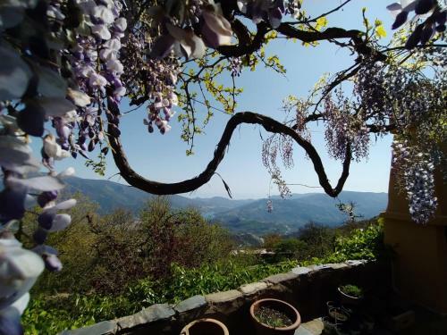 Bed & Breakfast Cortijo La Chaparra