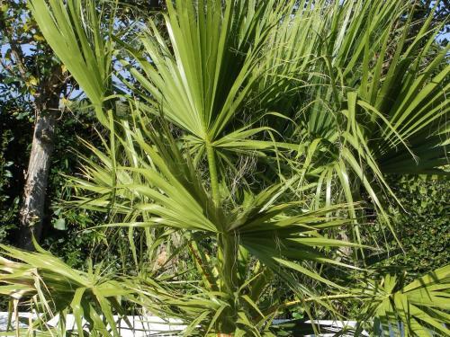 Holiday Home Raissac Raissac D Aude