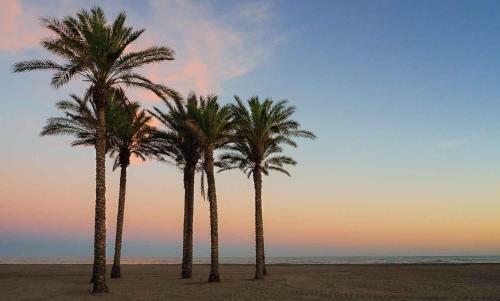 Apartamento Cerca De UNA De Las Mejores Playas.