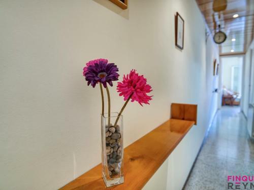 Apartamento Joan Sur�s
