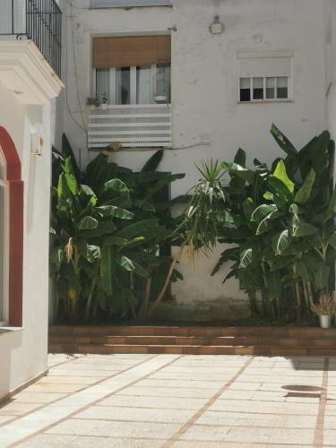 Apartamento Dos Habitaciones Sanl�car Centro Con Garaje