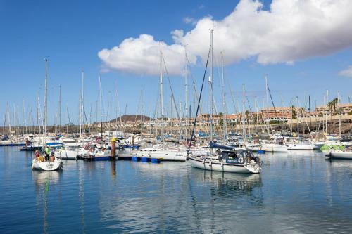 Apartamento Oceanfront Tenerife South Albatros 125