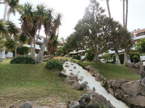 Apartamento Estudio En Tenerife Con Piscina / Study Flat With Pool