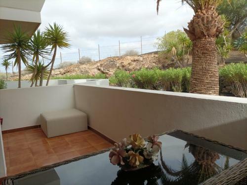 Apartamento Estudio En Tenerife Con Piscina / Study Flat With Pool