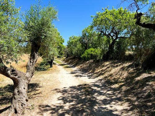 Villa La Noguera Casa Rural Valls