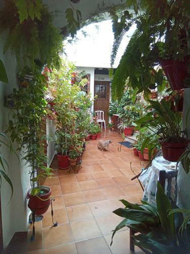 Apartamento Arco De La Cobijada