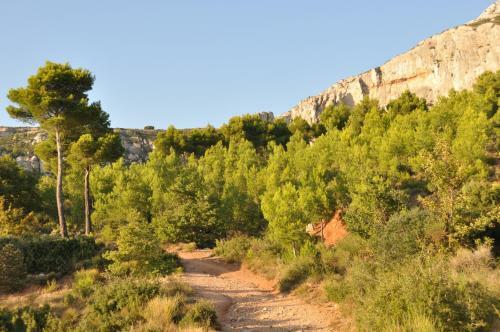 Bed & Breakfast La Ferme