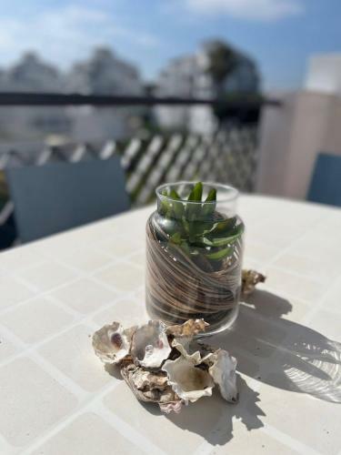 Apartamento Playa Y Pinares Para Disfrutar