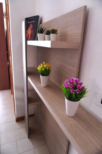 Apartamento Apto. Guacimeta, A 20m De La Playa.