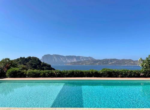 Apartamento San Teodoro Punta Est Curatissimo Bilocale