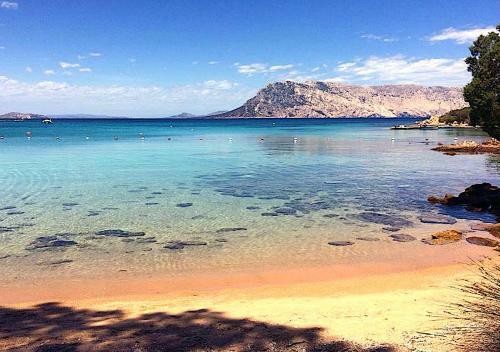 Apartamento San Teodoro Punta Est Curatissimo Bilocale
