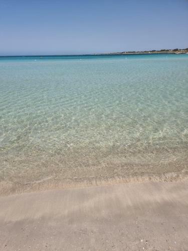 Villa Edoardo Con Pineta A 250 Metri Dal Mare