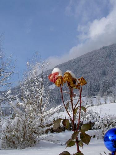 Hotel Haus Tirol