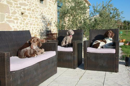 Bed & Breakfast Le Moulin Pastelier