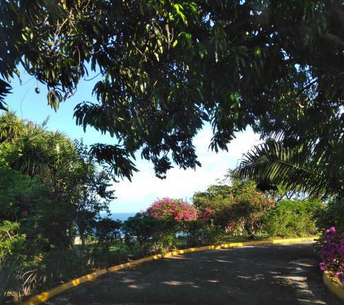 Apartamento Irresistible View-mobay Club