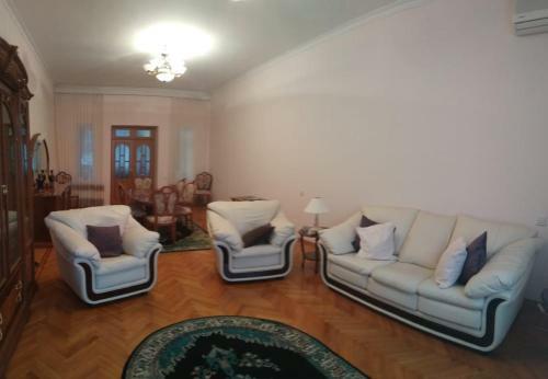 Villa Badamdar