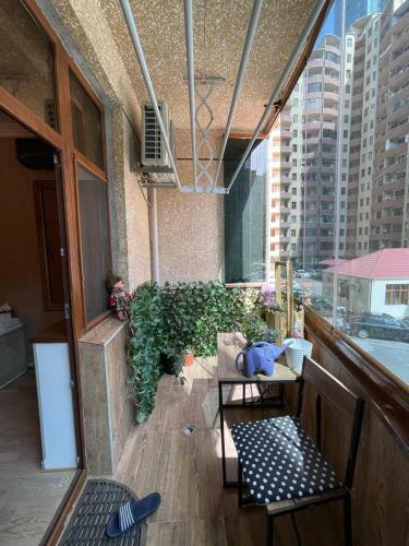 Delux Apartment Baku