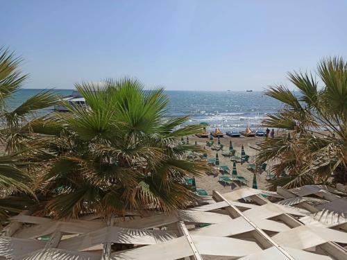 Palm Trees Apartment Durres