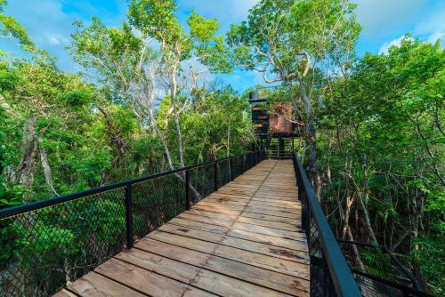 Villa Incre�ble Casa Elevada Con Cenote Privado En Tulum