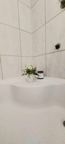 Apartamento Aqua Nature