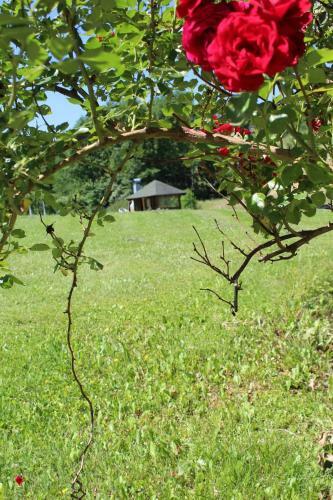 Holiday Home Kotezi