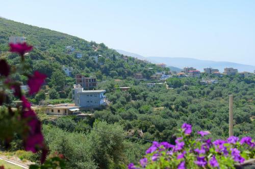 Bed & Breakfast Vila Panorama Piqeras