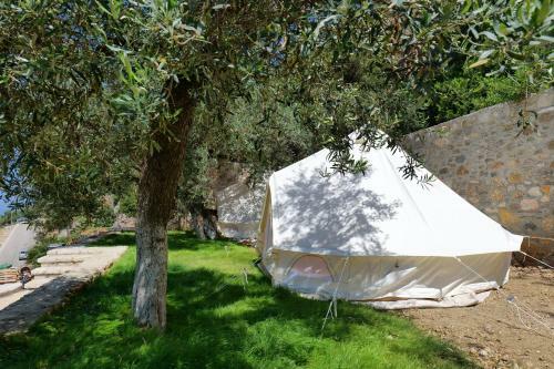 Bed & Breakfast Vila Panorama Piqeras