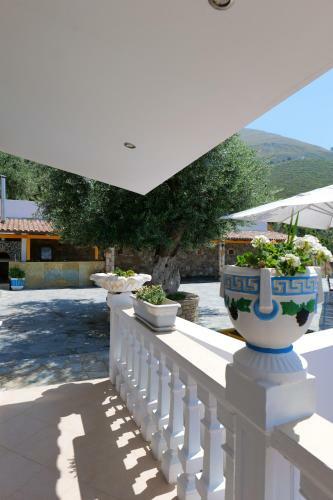 Bed & Breakfast Vila Panorama Piqeras
