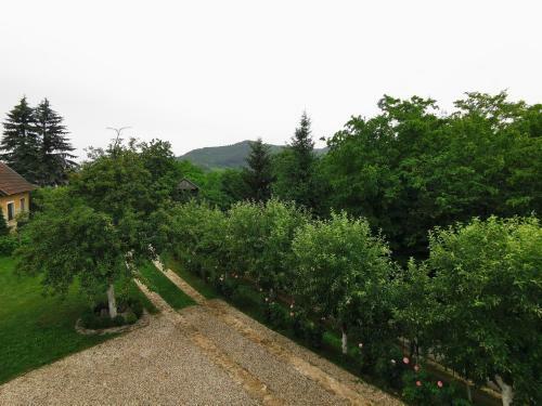 Apartman Semizovac - Apartment 4p - Memorable Stay