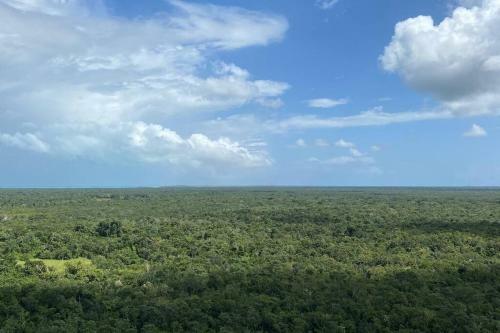 Socoa Apartment With Amazing Jungle View & Ocean Access