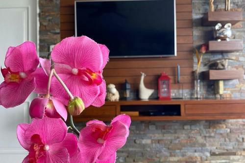 Socoa Apartment With Amazing Jungle View & Ocean Access