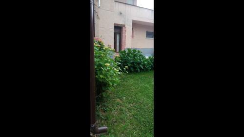 Apartamento Lantojana Del Cuera Antilles