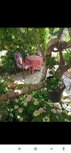 Apartamento Lavanda