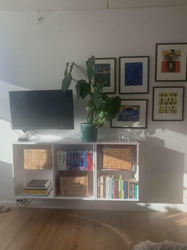 A Cosy One Bedroom Apartment With A Balcony