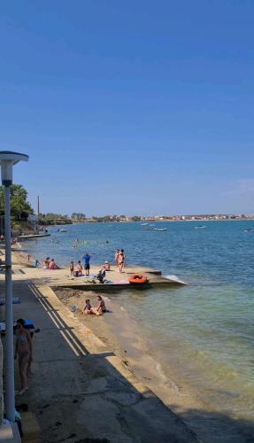 Apartman Mihaela