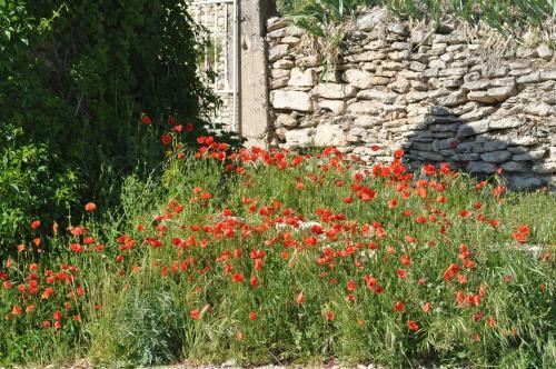 Bed & Breakfast Le Mas Des Anges