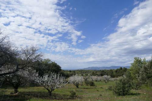 Bed & Breakfast Le Mas Des Anges