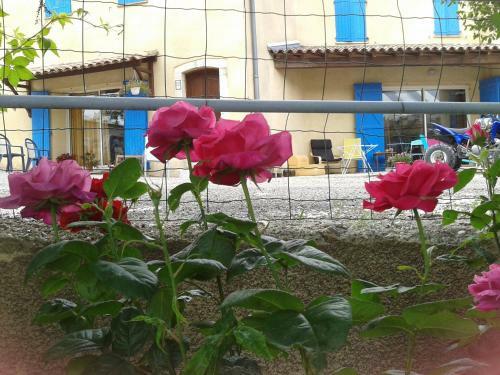 Agroturismo Ferme De Sejour Rebuffel
