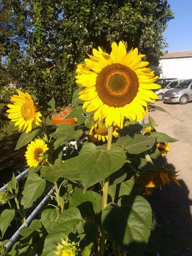 Agroturismo Ferme De Sejour Rebuffel