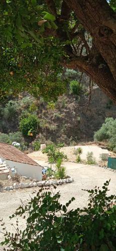 Morales Cottage