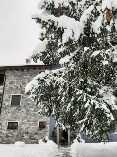 B&B Zia Vivina