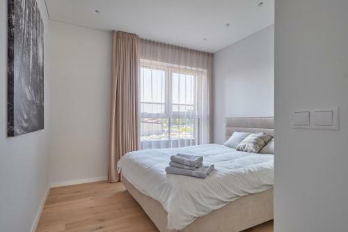Exceptional Spacious Apartment In ?aliakalnis