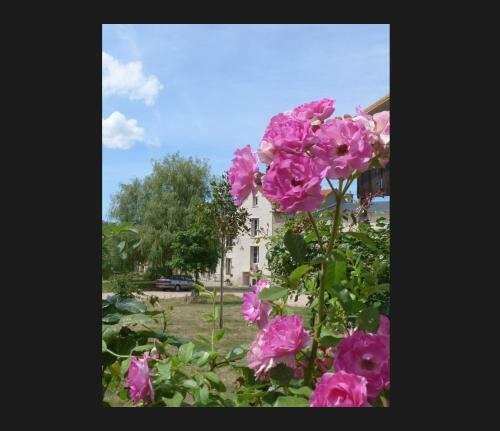Bed & Breakfast Ferme Du Grand Hotel Du Bois