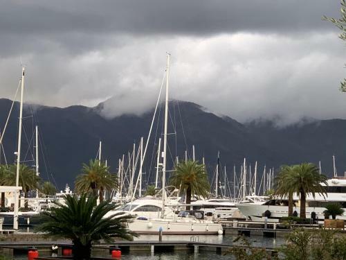 Dark Stallion Apartment In Porto Montenegro