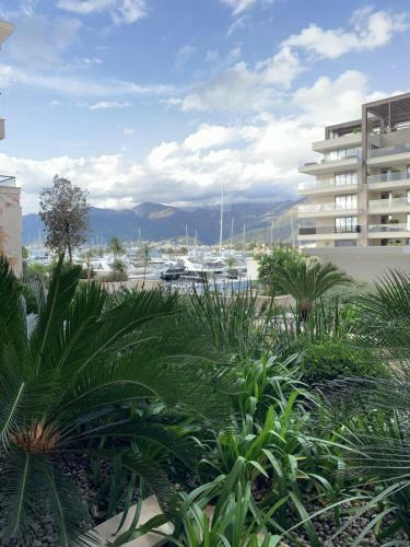 Dark Stallion Apartment In Porto Montenegro
