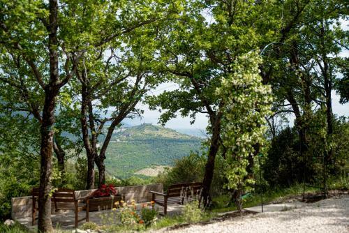 Apartamento Residenza San Fortunato