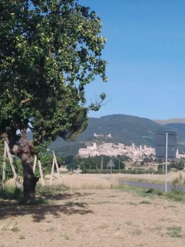 Agroturismo Agriturismo Il Grottino
