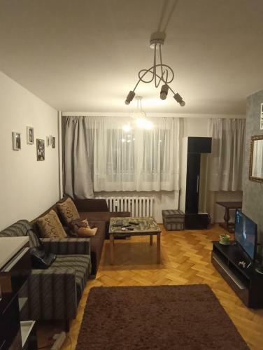 Apartament Zwierzyniecka 15