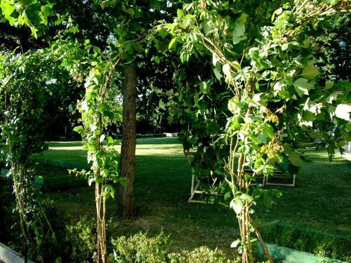 Apartamento La Francigena